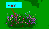 Click Here to
                                View Miss TVC's MAY 1999 Hint Parade